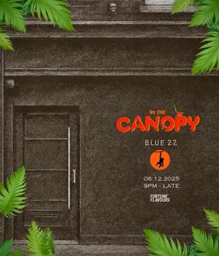 In The Canopy - 1st Birthday Party at TBA