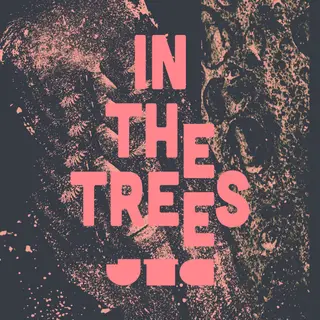 In The Trees - 20 years of JamTheChannel at TBA - Its a cheeky little secret