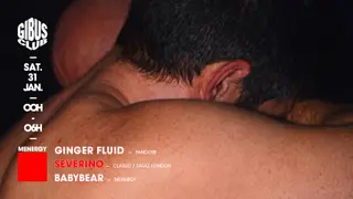 Menergy: Severino - Ginger Fluid - Babybear at Gibus Club Menergy: Severino - Ginger Fluid - Babybear at Gibus Club