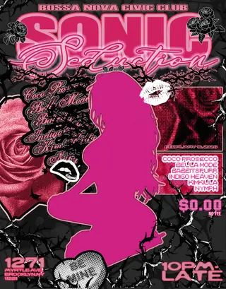 Sonic Seduction at Bossa Nova Civic Club