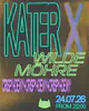 Kater x Wilde Möhre