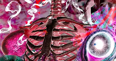 Gloria All Stars Extended with Grace Open Air • Aasana ~ Akira ~ Baba Créatures (performance) - EDM event at Macadam in Nantes