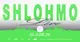 Shlohmo live