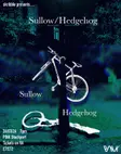 Sullow / Hedgehog thumbnail