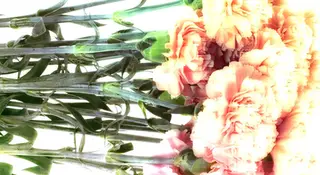 WOCHENMITTE w. Manu Strasse b2b Adron at Klunkerkranich