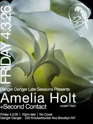 Amelia Holt + Second Contact (Honey Trap) at Danger Danger Amelia Holt + Second Contact (Honey Trap) at Danger Danger