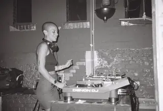 Naked Grapes with Dracaena at Orangerie Neukölln Naked Grapes with Dracaena at Orangerie Neukölln