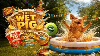 The Wet Pig [Bristol Opening Party!] at The Brass Pig