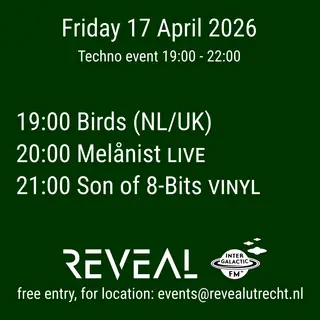 Techno: Birds, Melånist, Son of 8-Bits at Reveal