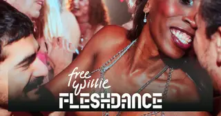 FleshDance - Amsterdam's naked dance floor at Free Willie Amsterdam FleshDance - Amsterdam's naked dance floor at Free Willie Amsterdam