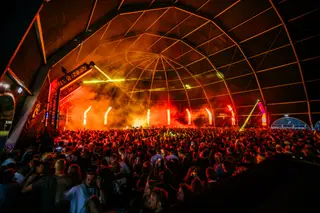 The Crave Festival 2026 at Zuiderpark The Crave Festival 2026 at Zuiderpark