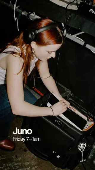 Bar Shrimp: Juno at Bar Shrimp Bar Shrimp: Juno at Bar Shrimp