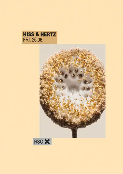 Hiss & Hertz w/ Colin Benders live, Estella Boersma, Stephanie Sykes - EDM event at RSO.BERLIN in Berlin
