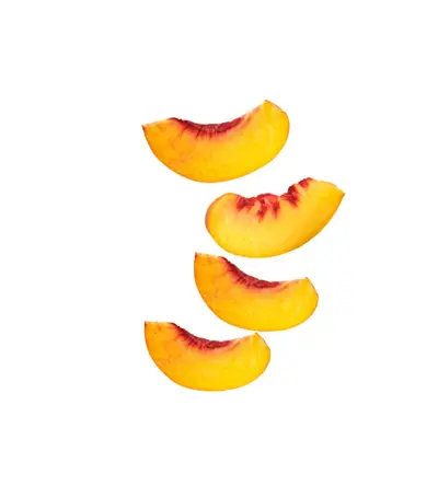 THE AOS - EDM event at Else in Berlin