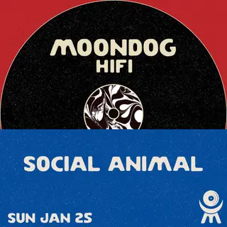 Social Animal at Moondog Hifi