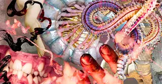 Macadam • Dorisburg (live) ~ Agonis ~ Akira at Macadam Macadam • Dorisburg (live) ~ Agonis ~ Akira at Macadam