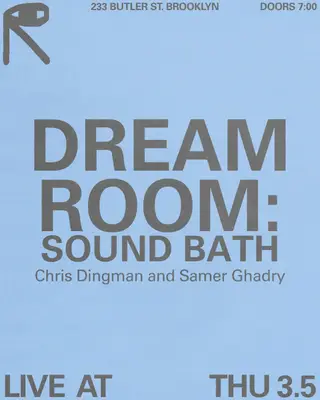 DREAM ROOM: Sound Bath with Chris Dingman and Samer Ghadry at public records