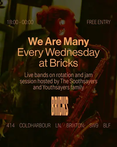 We Are Many  - EDM event at Bricks in London