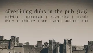 Silverlining Dubs in the Pub (xvi) at The Lion and Lamb