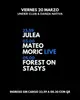 Forest On Stasys - Julea - Mateo Moric