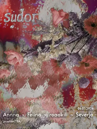 sudor #4 at TBA