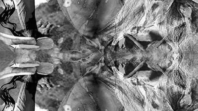 Macadam x Fast & Furieuses • Dou B2B Nawme Macadam x Fast & Furieuses • Dou B2B Nawme - EDM event at Macadam in Nantes