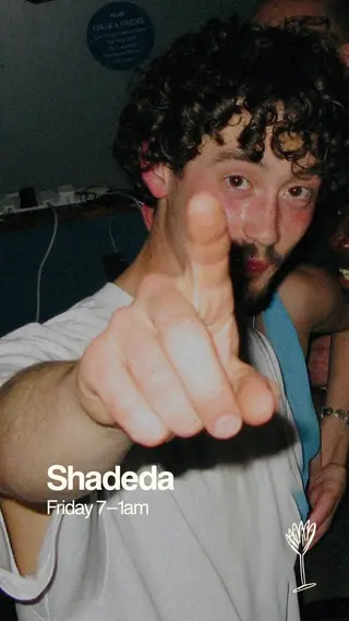 Bar Shrimp: Shadeda at Bar Shrimp Bar Shrimp: Shadeda at Bar Shrimp