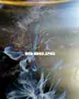DAT_URA x Samsara