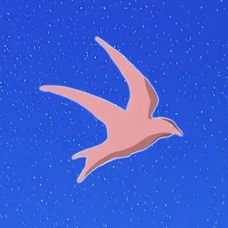 Feel Festival x Nonchalance Cologne 2026 | Lineup & Event Details - EDM news article