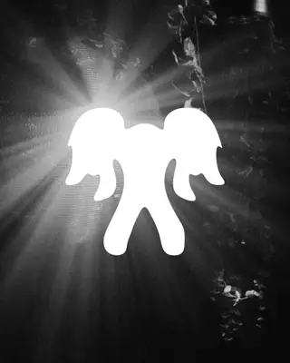 TRACEY ZERO at ÆDEN TRACEY ZERO at ÆDEN