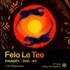 Labyrinth presents: Felo Le Tee