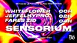 Sensorium W/ Whiteflower, Jeffellhypno,Fares Zid thumbnail Sensorium W/ Whiteflower, Jeffellhypno,Fares Zid thumbnail