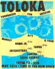 Toloka — a fundraiser for Ukraine