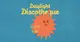 Daylight Discotheque