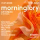 Morninglory EXTENDED - 2 STAGES