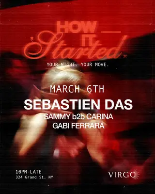 how it started: Sebastien Das at Virgo