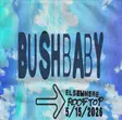 Bushbaby thumbnail