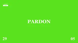 PARDON at Skatecafe PARDON at Skatecafe