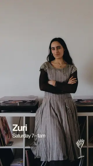 Bar Shrimp: Zuri at Bar Shrimp Bar Shrimp: Zuri at Bar Shrimp