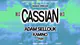 Radius Open Air: Cassian
