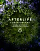 Afterlife AFTERLIFE-TOMORROWLAND-2023-FINAL.jpg Afterlife AFTERLIFE-TOMORROWLAND-2023-FINAL.jpg
