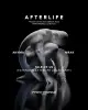 Afterlife 2 AL-LONDON-1080x1350.jpg Afterlife 2 AL-LONDON-1080x1350.jpg