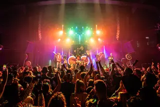 WonkyWilla & SoDown Unite For Debut Single ‘Won’t You Love’ - EDM news article