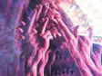 Shlump Talks Musical Lineage as The Chronicles of Shlump Drops Everywhere - Industry EDM news from Magnetic Magazine