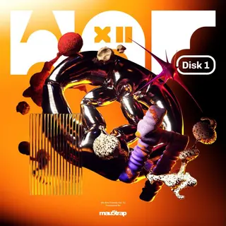 mau5trap Unveils New Talent on We Are Friends Vol. 12: Disk 1 - EDM news article