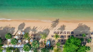 Tomorrowland Thailand Hotel Packages Go On Sale - EDM news article