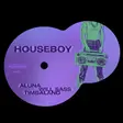 Will Sass, Aluna, Timbaland Team Up on ‘House Boy’ - News EDM news from EDMTunes