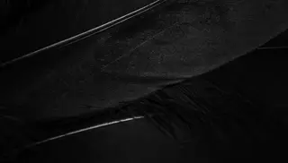 Crow Techno Club Easter Special at LABtheClub Crow Techno Club Easter Special at LABtheClub